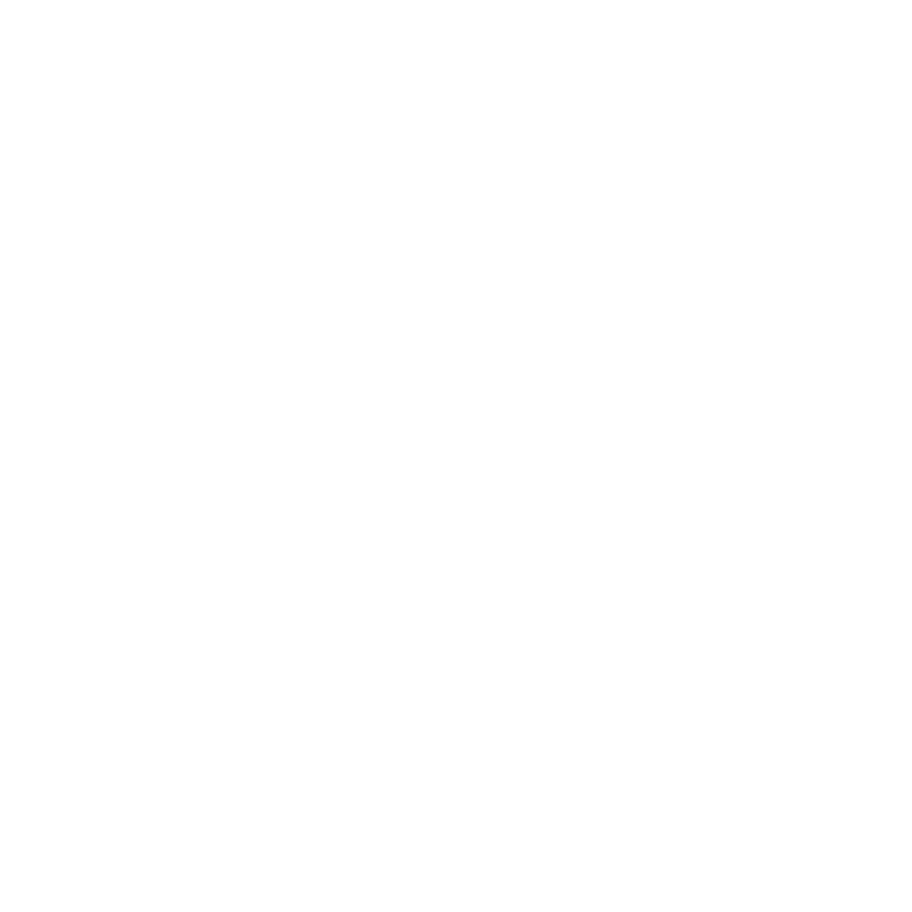 Dümmer Allee Logo